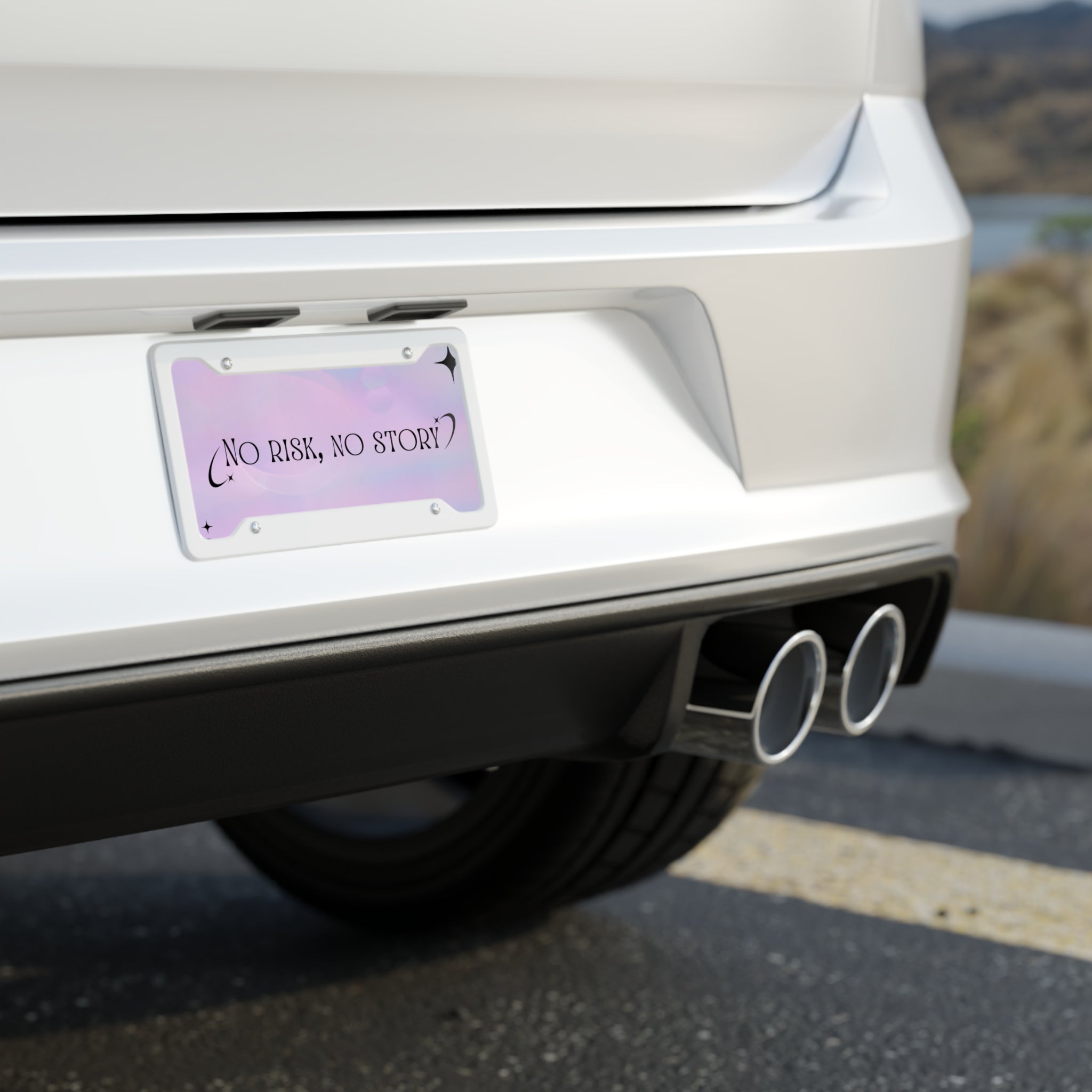 License Plate with 'No Risk, No Story' Quote